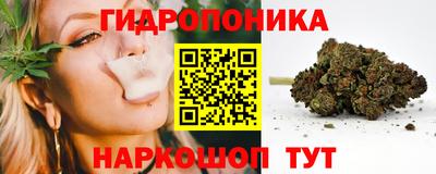 прущие крисы Жуковский