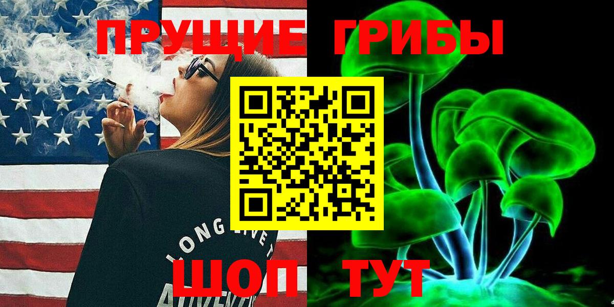 Галлюциногенные грибы Psilocybine cubensis  Вход с VPN  Черняховск 